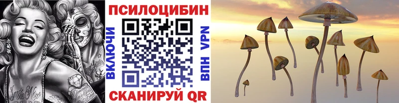 хочу наркоту  Обнинск  Псилоцибиновые грибы Psilocybine cubensis 