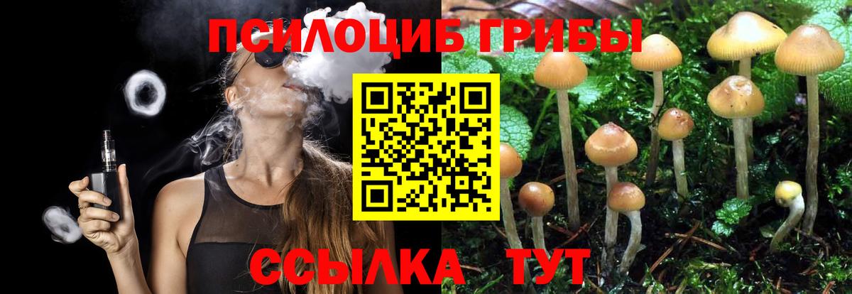 Псилоцибиновые грибы MAGIC MUSHROOMS Обнинск