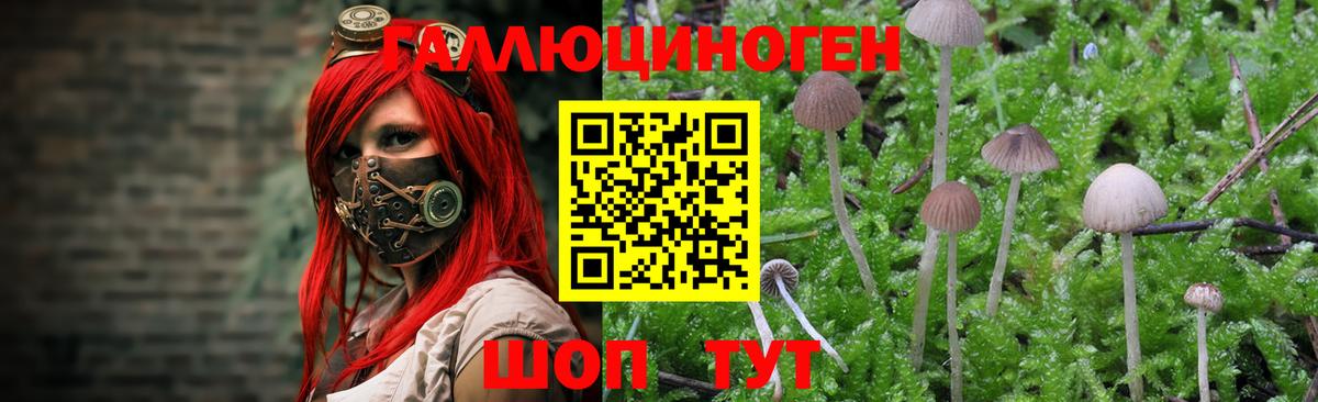 Псилоцибиновые грибы MAGIC MUSHROOMS  Вход с VPN  Обнинск  Галлюциногенные грибы мухоморы 